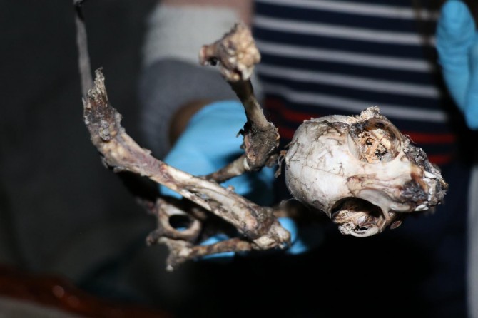 1-20181213223418.jpg 1-20181213223418.jpg