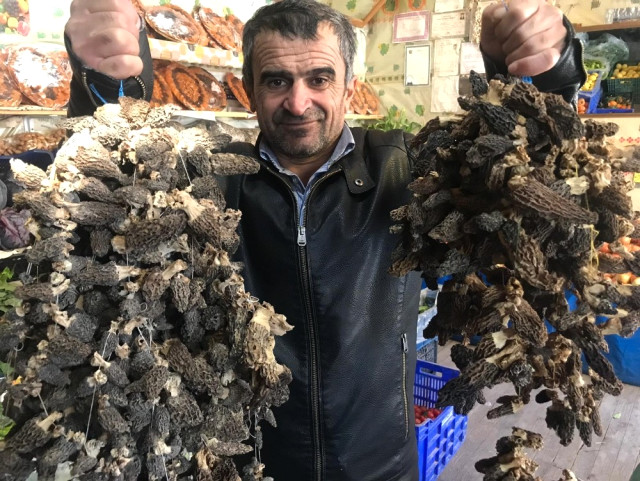 1-20181229201823.jpg 1-20181229201823.jpg