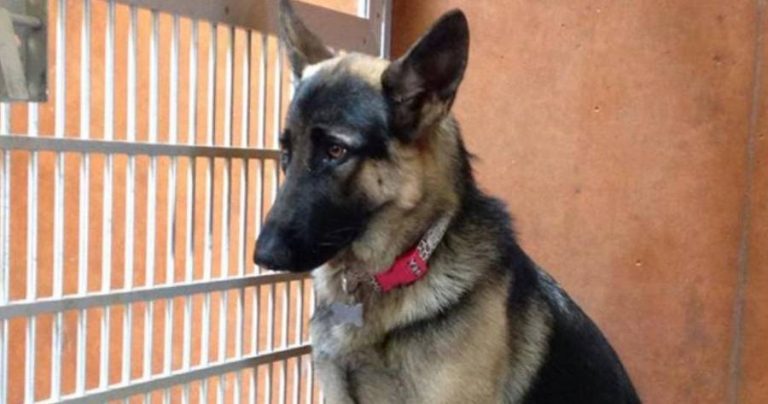 1-20181230224443.jpg 1-20181230224443.jpg