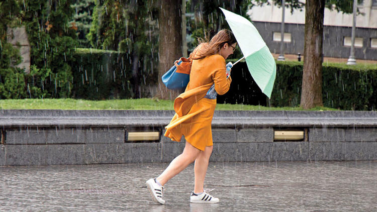 1-20190615222028.jpg 1-20190615222028.jpg