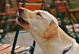 2-20190114001515.jpg 2-20190114001515.jpg