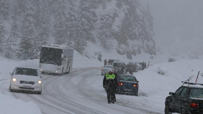 2-20190130195700.jpg 2-20190130195700.jpg