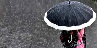 2-20190131193321.jpg 2-20190131193321.jpg