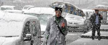 2-20190131195249.jpg 2-20190131195249.jpg