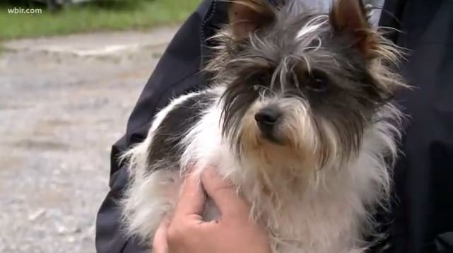 2-20190204214141.jpg 2-20190204214141.jpg