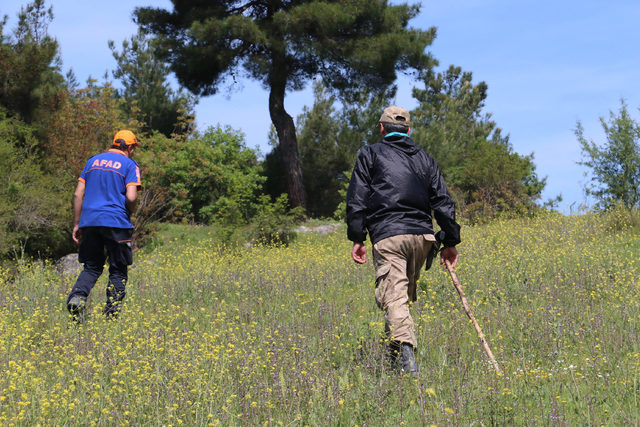 2-20190605004747.jpg 2-20190605004747.jpg