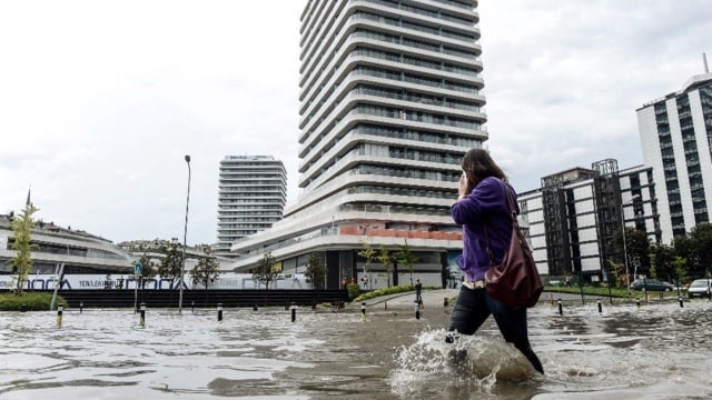 2-20190620003558.jpg 2-20190620003558.jpg