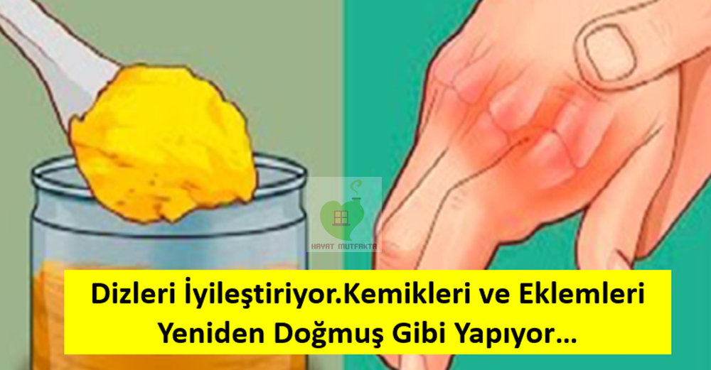 2dogan-001.png