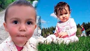 3-20190605004747.jpg 3-20190605004747.jpg