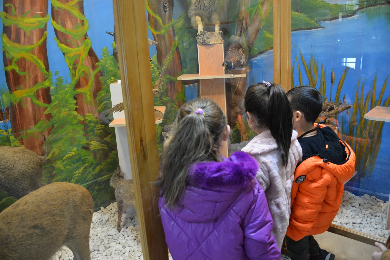 4ebd107c-2933-4749-92d7-20ba9bc242e2.jpg 4ebd107c-2933-4749-92d7-20ba9bc242e2.jpg