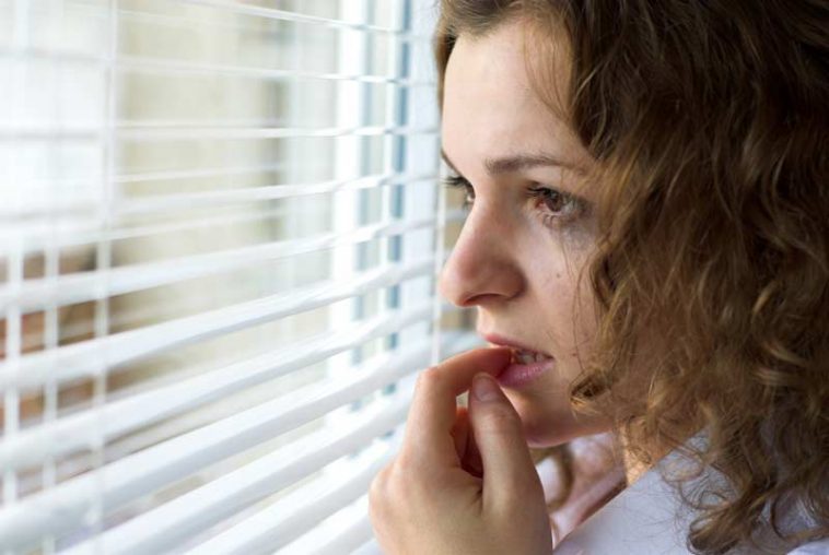 a4-018.jpg a4-018.jpg