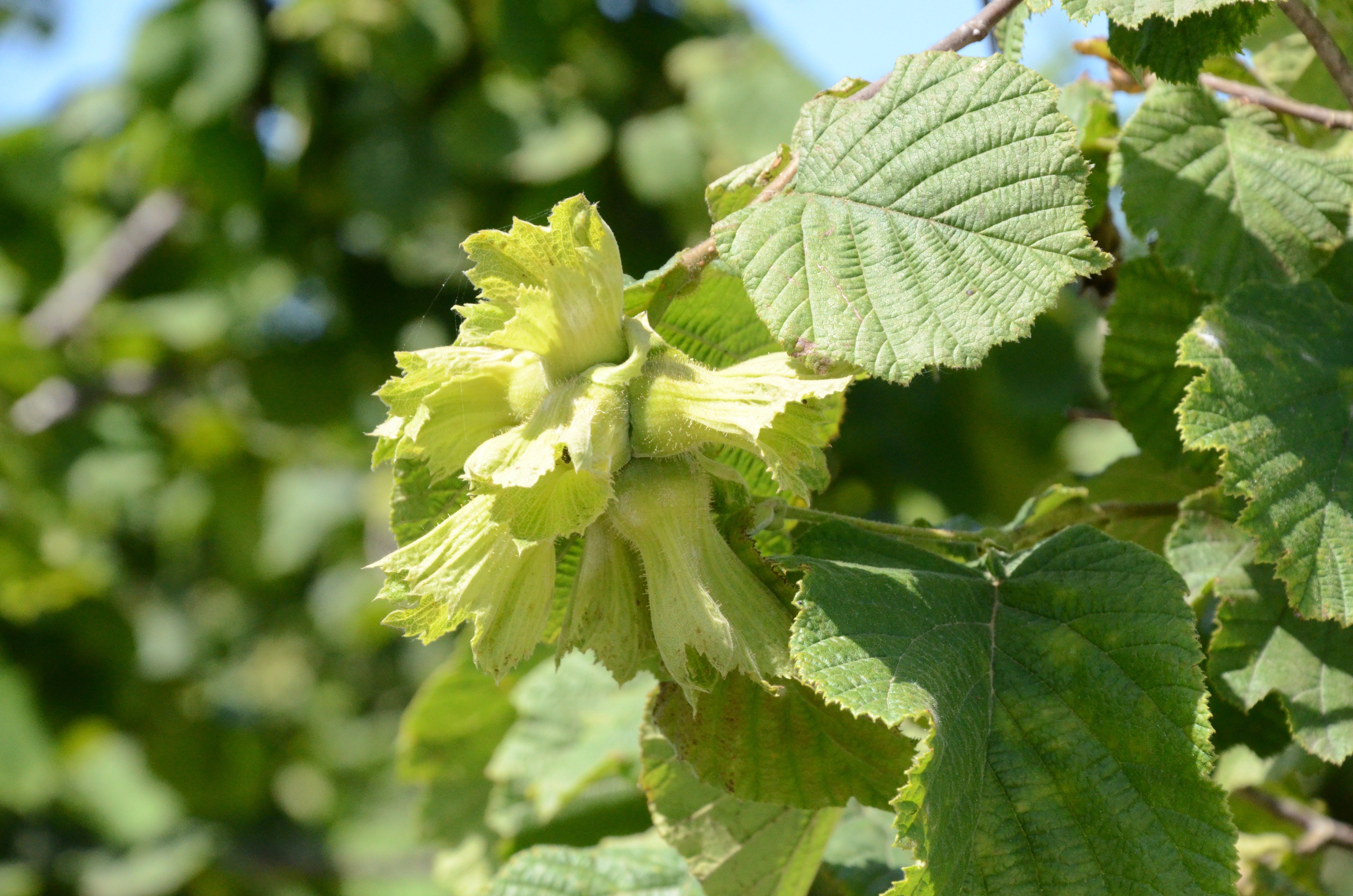 aw057758_02.jpg aw057758_02.jpg