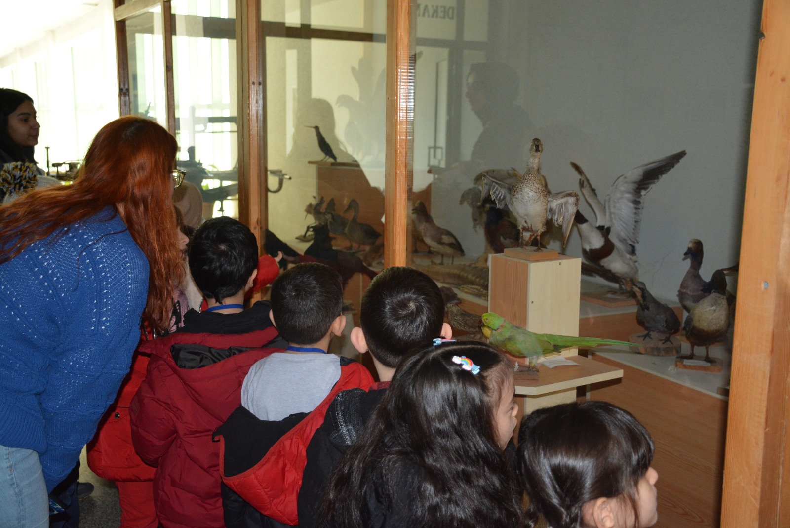 f15ebfb6-e487-4db0-a443-03b8c643c607.jpg f15ebfb6-e487-4db0-a443-03b8c643c607.jpg